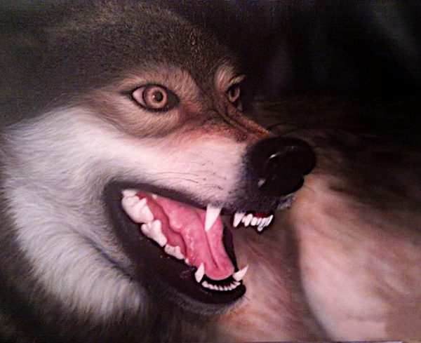 Airbrush