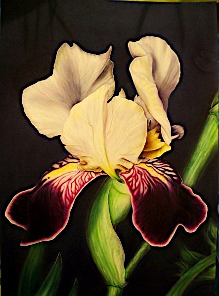 Airbrush